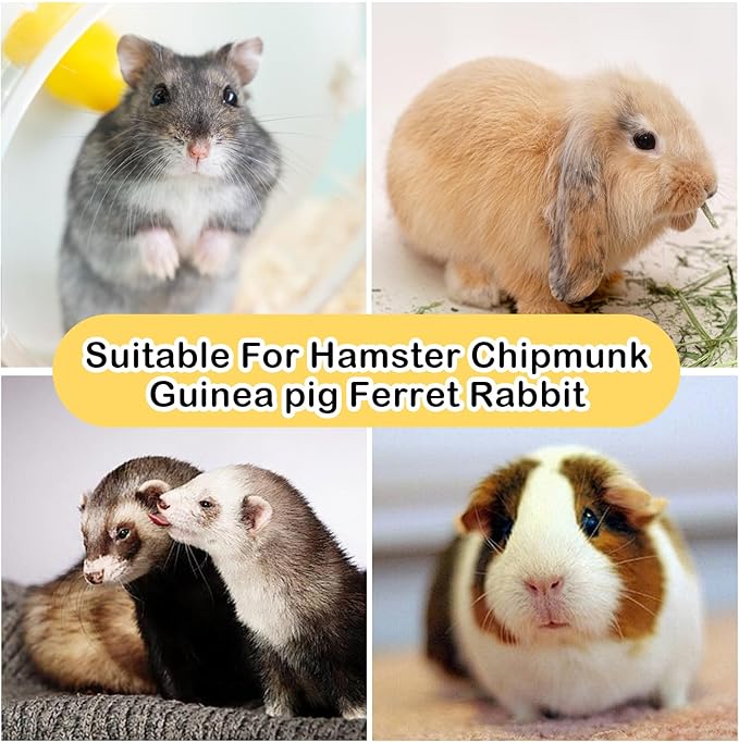 Rabbit Chew Toy,Bunny Chew Toys for Teeth Grinding,Natural Apple Branch Teething Sticks with Hay Grass Cake Improve Dental Health Bunny Hanging Chew Toys for Rabbits,Chinchillas,Hamster (4 Pcs)-Mewly Pet