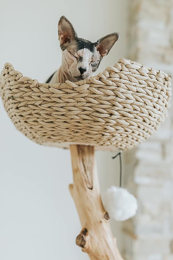 Wooden Cat Climbing Tree Tower, Modern Single Branch Cat Condo, Wood, Cat Lover Furniture Gift by MAU LIFESTYLE (Alpine White)-Mewly Pet