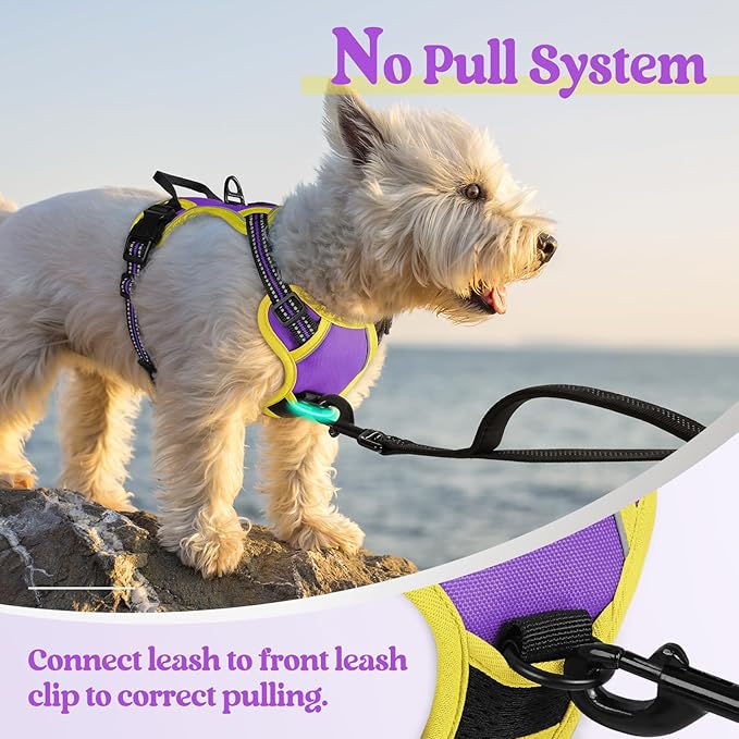 rabbitgoo Dog Harness No Pull with 2 Leash Clips, Adjustable Soft Padded, Reflective Oxford No Choke Pet Vest with Easy Control Handle for Puppy, Purple & Yellow, XS-Mewly Pet