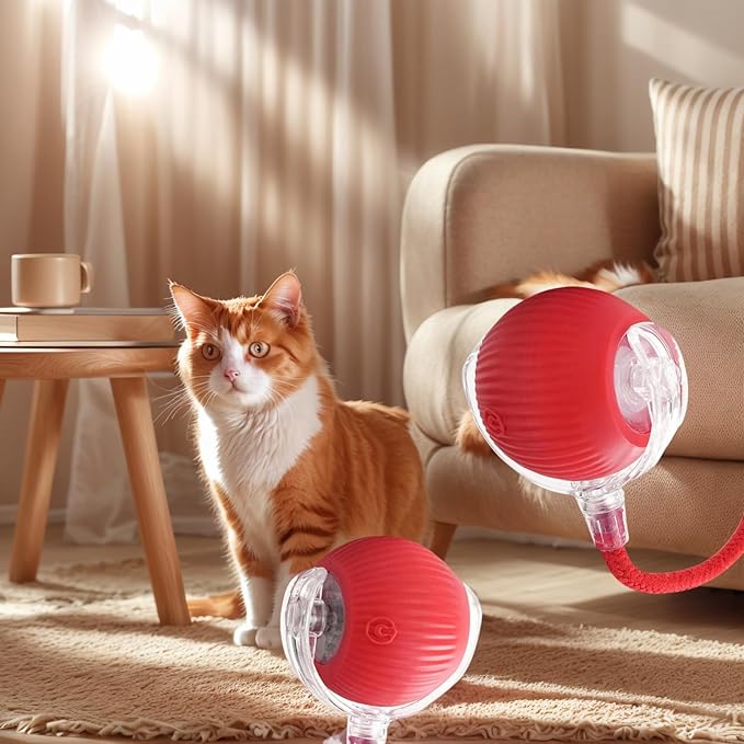 Electric Cat Toy - Automatic Rolling cat Toy with Motion sensors, Designed for Indoor Cats, Suitable for Solo Play (USB Rechargeable) (Red)-Mewly Pet
