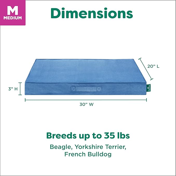 FurHaven Cooling Dog Bed – Medium Foam Mattress for Joint Pain Relief, Waterproof Liner, Removable Washable Cover, Durable for Outdoor Use, Deluxe Grid Indoor/Outdoor Bed – Blue, Medium-Mewly Pet