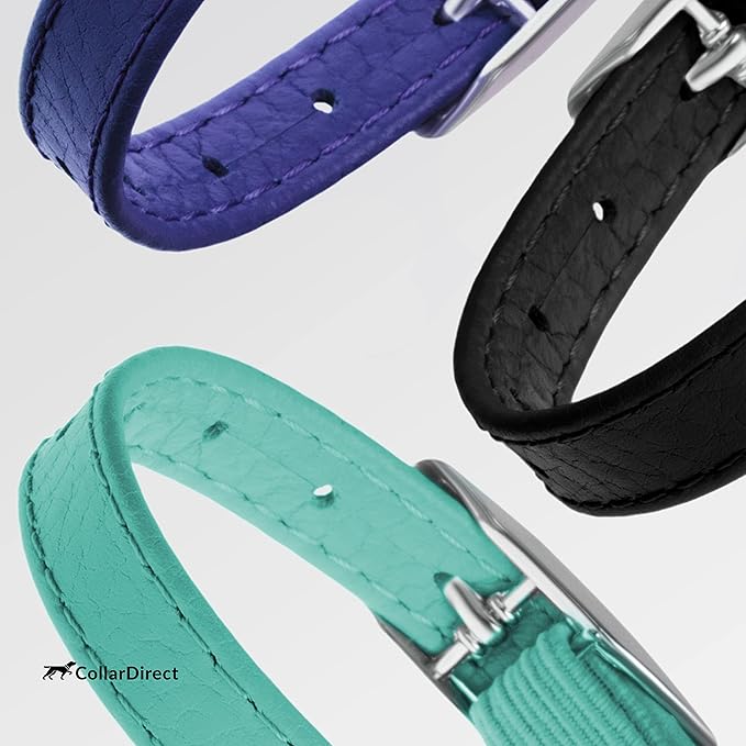 CollarDirect Leather Cat Collar, Cat Safety Collar with Elastic Strap, Kitten Strap with Bell Black Blue Red Orange Lime Green (6-7 Inch, Black)-Mewly Pet