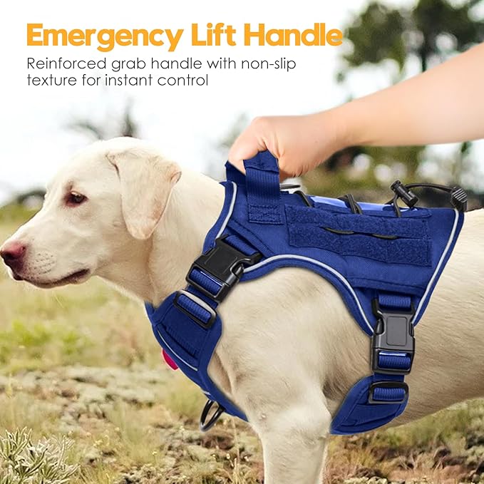 Heavy-Duty Tactical Dog Harness for Large Dogs, No Pull Adjustable Reflective Pet Vest with Molle System, K9 Military-Grade Control for Service Training, Outdoor & 10+ Breeds, Dazzling Blue, Small-Mewly Pet
