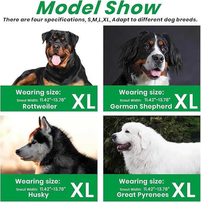 Dog Muzzle, Basket Muzzle for Small Medium Large Dogs, Anti-Biting and Chewing, Lightweight & Sturdy Cage Design, Allows Panting & Drinking, Ideal for Grooming & Training(Green Size XL)-Mewly Pet