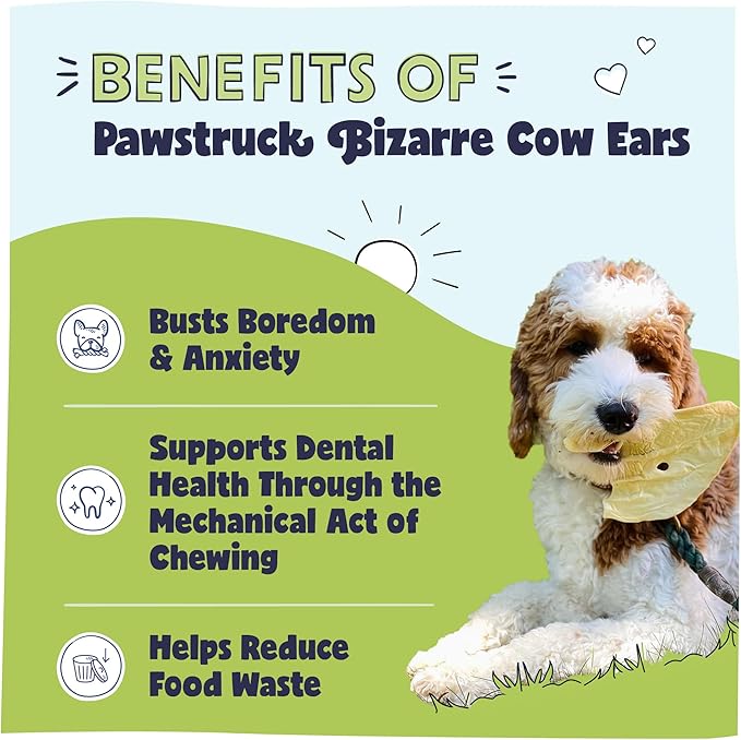 Pawstruck Natural Bizarre Cow Ears Bargain Bag – Rawhide-Free, Highly Digestible, Low Calorie & Long-Lasting Chew Treat for All Breeds – 1.5 lb Bag-Mewly Pet