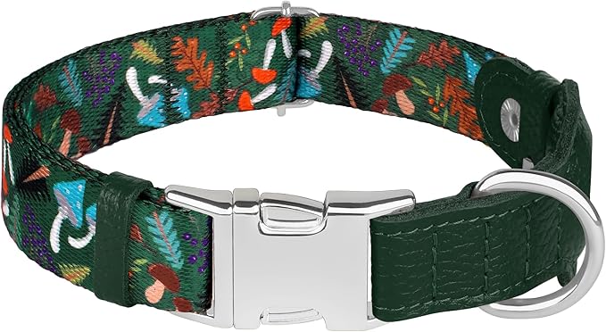 AirTag Dog Collar for Small Medium Large Breed - Adjustable Cute Pattern Dog Collar with Airtag Holder - Soft Leather Tracker GPS Apple Air Tag Pet Collars (X-Small, 9"-12" Neck Fit, Mushroom)-Mewly Pet