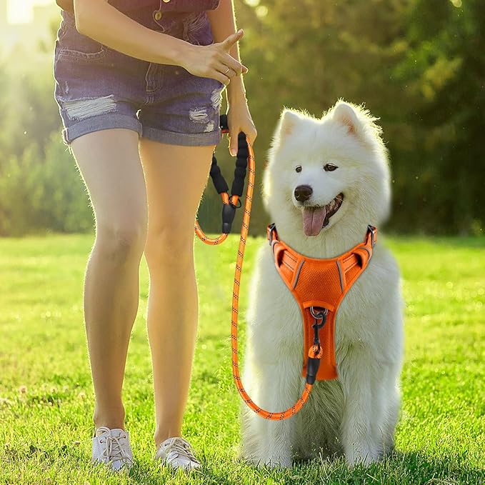 BARKBAY Dog Harness No Pull with ID Tag Pocket - Heavy Duty, Reflective, Easy Control for Large Dogs(Orange,S)-Mewly Pet