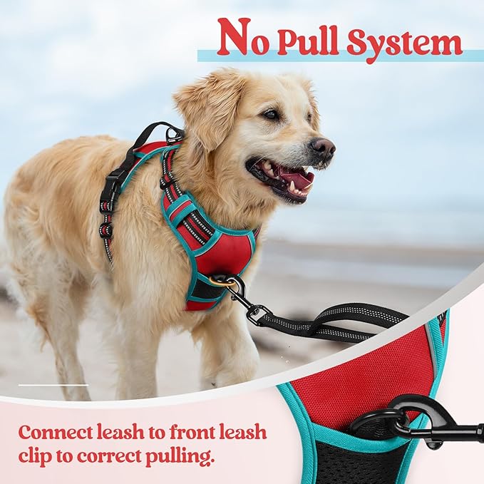 rabbitgoo Dog Harness No Pull with 2 Leash Clips, Adjustable Soft Padded, Reflective Oxford No Choke Pet Vest with Easy Control Handle for Large Dogs, Red & Teal, L-Mewly Pet