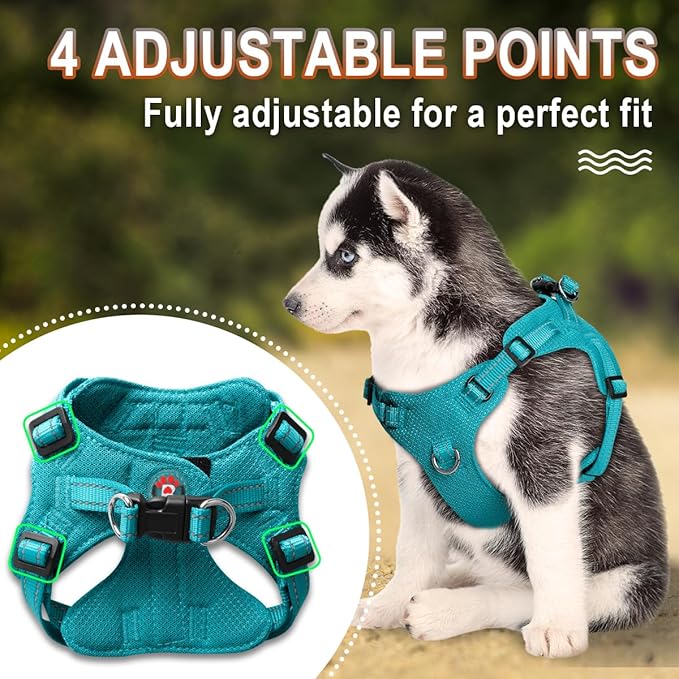 Dog Harness Step in Dog Vest Harness, Reflective Adjustable Puppy No Pull Harness Breathable Soft for Small and Medium Dogs Cats, Ocean Blue, S-Mewly Pet