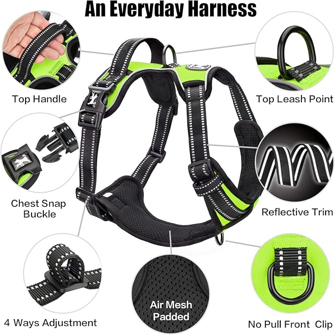 PoyPet No Pull Dog Harness, Reflective Comfortable Vest Harness with Front & Back 2 Leash Attachments and Easy Control Handle Adjustable Soft Padded Pet Vest for Small to Large Dogs (Green,XL)-Mewly Pet