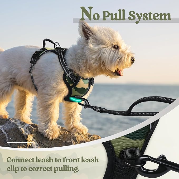 rabbitgoo Dog Harness No Pull with 2 Leash Clips, Adjustable Soft Padded, Reflective Oxford No Choke Pet Vest with Easy Control Handle for Large Dogs, Green Mountain,XS-Mewly Pet