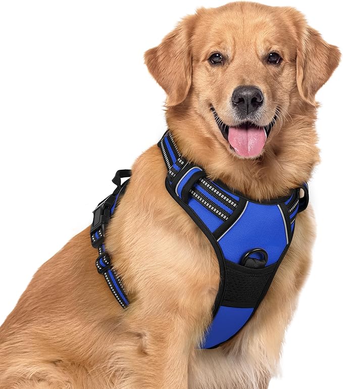 rabbitgoo Dog Harness No Pull with 2 Leash Clips, Adjustable Soft Padded, Reflective Oxford No Choke Pet Vest with Easy Control Handle for Large Dogs, Dazzling Blue, XL-Mewly Pet
