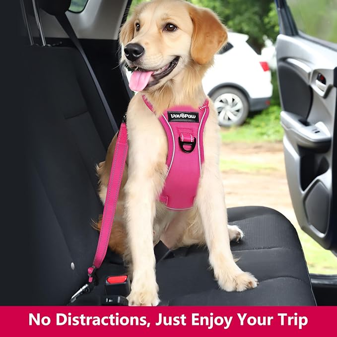Dog Seat Belt Harness for Car, Dog Car Harness Adjustable Mesh Breathable & Dogs Seatbelt Safety Tether with Elastic Bungee for Small Medium Large Pets(Rose, S)-Mewly Pet