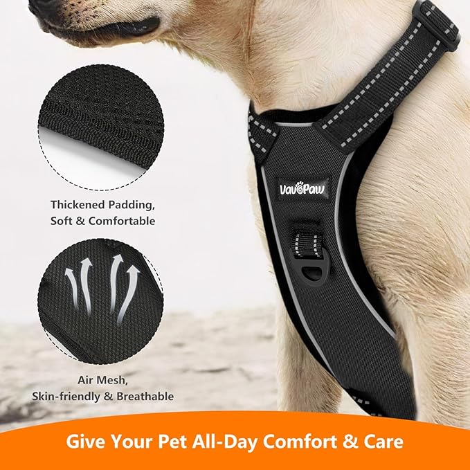 Dog Seat Belt Harness for Car, Dog Car Harness Adjustable Mesh Breathable & Dogs Seatbelt Safety Tether with Elastic Bungee for Small Medium Large Pets(Carbon Black, M)-Mewly Pet