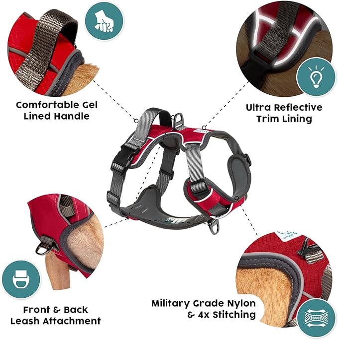 Embark Adventure Dog Harness, Reflective Trim No Pull Dog Harnesses for Small Sized Dogs - Military Grade Nylon, Front Clip with Gel Lined Handle. Soft & Padded Puppy-Mewly Pet