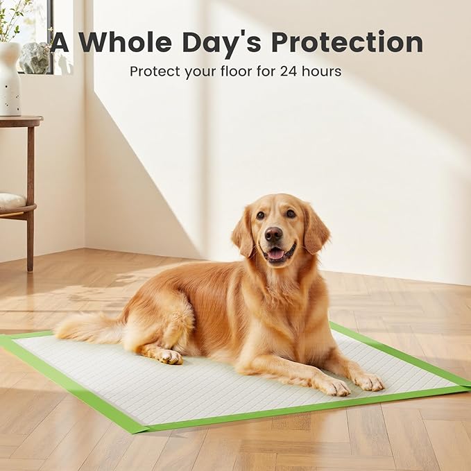 Gardner Pet Dog Pee Pads Extra Large 28"x34", XL Thicker ECO Green Disposable Puppy Training Pads Super Absorbent Full Edge-Wrapping Pad for Dogs, Puppies, Cats, Rabbits (50 Count)