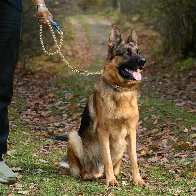 TSPRO Chew Proof Leash - 3.9 FT Stainless Steel Metal Training Leash with Soft Handle for Medium to Large Dog (4MM, Shiny Gold)