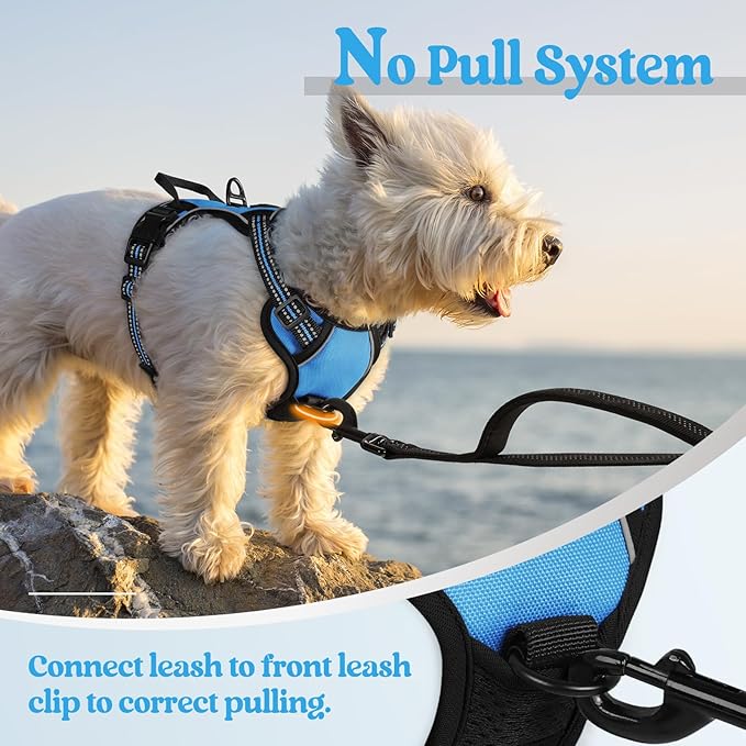 rabbitgoo Dog Harness No Pull with 2 Leash Clips, Adjustable Soft Padded, Reflective Oxford No Choke Pet Vest with Easy Control Handle for Puppy, Blue, XS-Mewly Pet