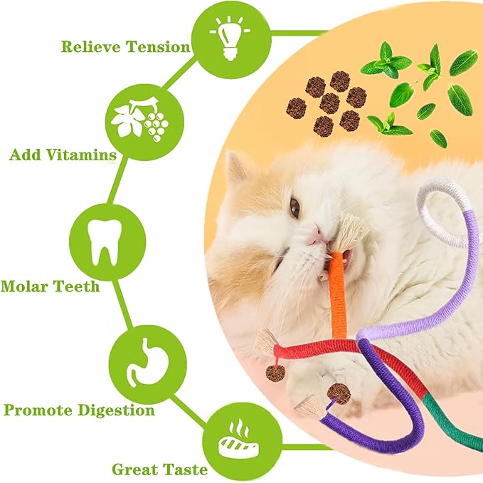 Cat Toys 21PCS Catnip Toy for Indoor Kitten Treat Cats Chew Stick for Dental Cleaning Teeth Kitten Silvervine Rope Kitty Feather Snack for for Kick Molar Scratch Self Play Interactive Boredom-Mewly Pet