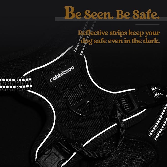 rabbitgoo Dog Harness No Pull with 2 Leash Clips, Adjustable Soft Padded, Reflective Oxford No Choke Pet Vest with Easy Control Handle for Puppy, Black, XS-Mewly Pet