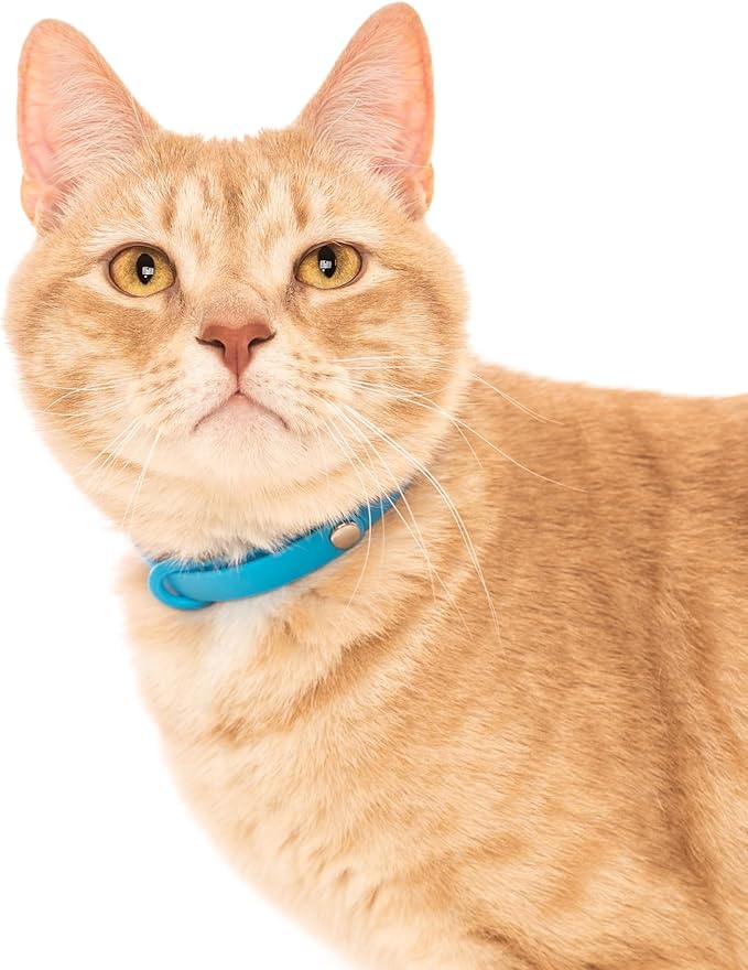 Silicone Cat Collars 2 Pack - Soft, Comfortable, and Lightweight Safety Breakaway Collar with Name Tag Ring for Outdoor Cats and Sensitive Skin Kittens by Nuvuq (6 ⅞" to 10 ¼", Blue)-Mewly Pet