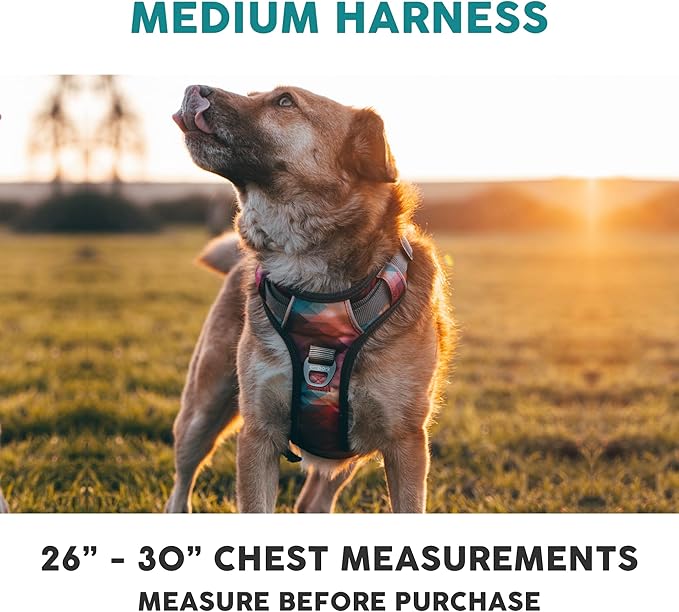 Embark Adventure Dog Harness, Reflective Trim No Pull Harness for Medium Sized Dog - Military Grade Nylon, Front Clip with Gel Lined Handle. Soft & Padded Puppy-Mewly Pet