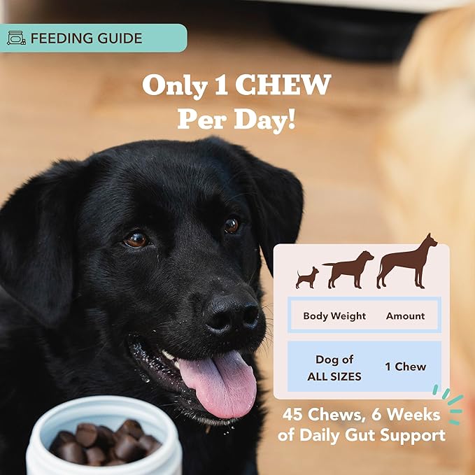 Natural Dog Company Gut Health & Probiotic Chews for Dogs (45 Ct), Prebiotics, Digestive Enzymes & Canine Specific Probiotics for Digestion, Gas, Loose Stool & Immune System Support, 1 Chew Daily-Mewly Pet
