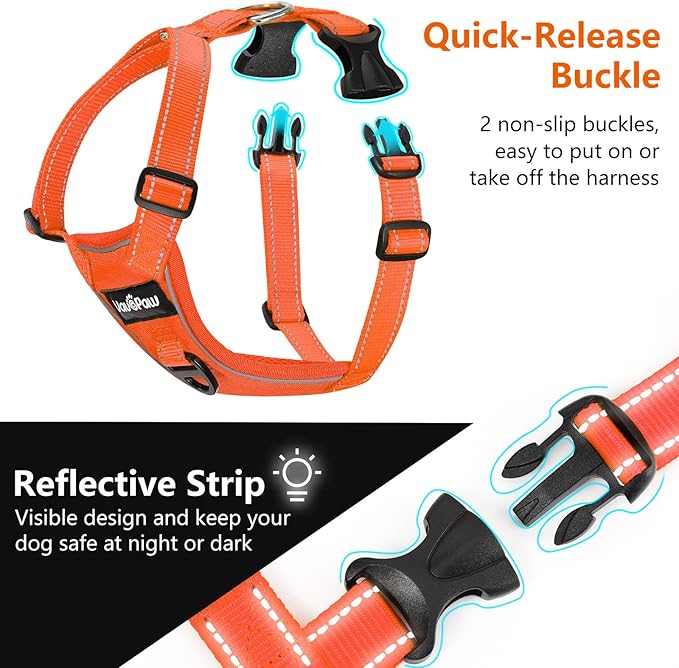 Dog Seat Belt Harness for Car, Dog Car Harness Adjustable Mesh Breathable & Dogs Seatbelt Safety Tether with Elastic Bungee for Small Medium Large Pets(Orange, L)-Mewly Pet