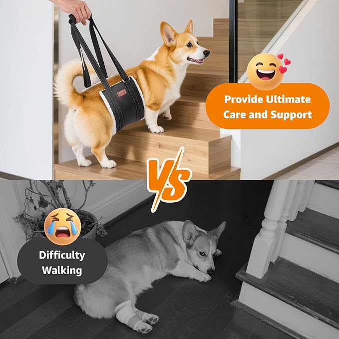 LOOBANI Portable Dog Sling for Back Legs, Hip Support Harness to Help Lift Dogs Rear for Canine Aid and Old K9 Cruciate Ligament Rehabilitation-Mewly Pet