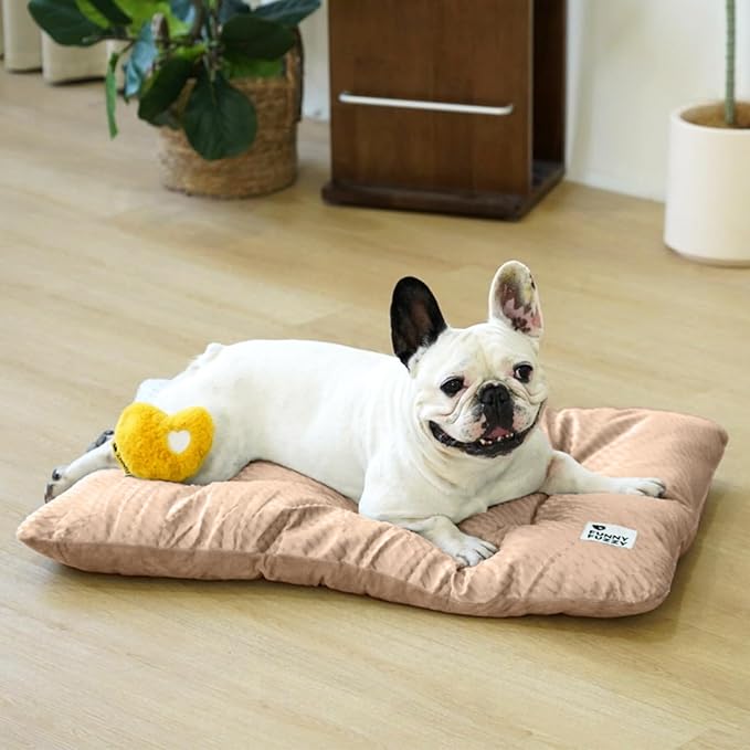 FUNNY FUZZY 30x20 Washable Dog Bed Crate Mat, 2 in1 Pet Pillow Sleeping Bed, Fluffy Deluxe Kennel Mattress for Medium Dog and Cat,Charcoal Grey,M,Beige-Mewly Pet