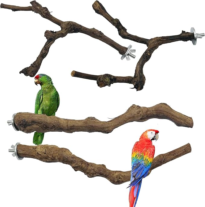 Allazone 4-Piece Bird Perch - Natural Grapevine Stick Swing Chewing Toys for Parrot Cages, Cockatiels, Parakeets, Finches-Mewly Pet