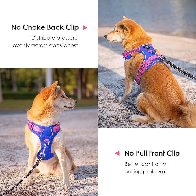 PHOEPET No Pull Dog Harness, Unique Colors Reflective Adjustable Dog Vest, with Soft Training Handle Metal Clips for Small Medium Large Dogs (Royal Blue Base & Pink Straps,XL)-Mewly Pet