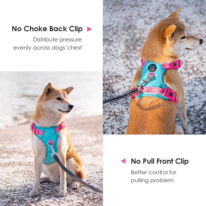 PHOEPET No Pull Dog Harness, Unique Colors Reflective Adjustable Dog Vest, with Soft Training Handle Metal Clips for Small Medium Large Dogs (Mint Green Base & Pink Straps,S)-Mewly Pet