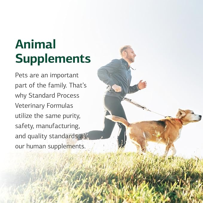 Standard Process Inc. Canine Flex Support - Joint & Immune Health Supplement for Dogs - Chewable Wafers for Healthy Joint Function Support - Nutritional Whole-Food Based Supplement - 100 wafers-Mewly Pet