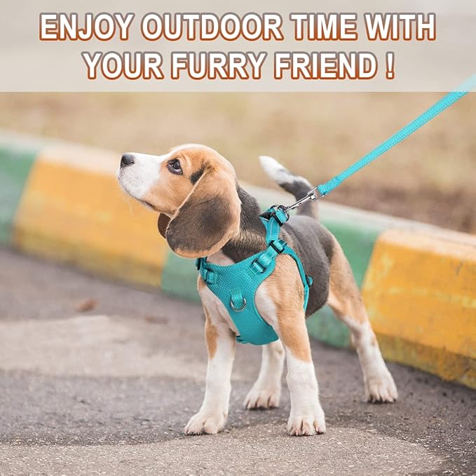 Dog Harness Step in Dog Vest Harness, Reflective Adjustable Puppy No Pull Harness Breathable Soft for Small and Medium Dogs Cats, Ocean Blue, S-Mewly Pet