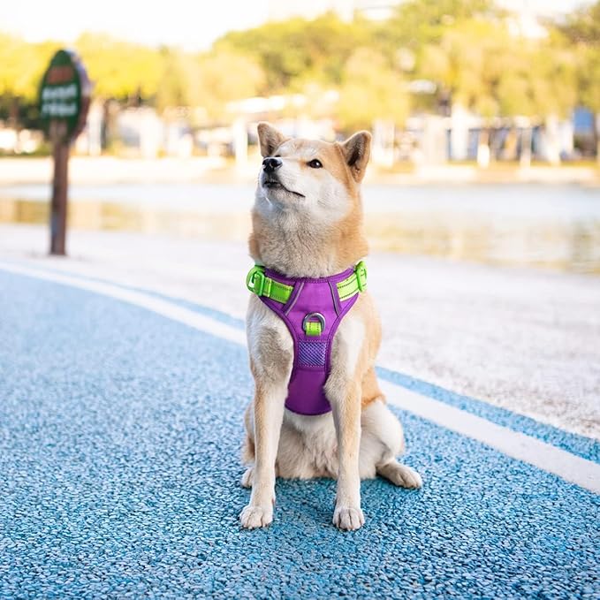 PHOEPET No Pull Dog Harness, Unique Colors Reflective Adjustable Dog Vest, with Soft Training Handle Metal Clips for Small Medium Large Dogs (Purple Base & Green Straps,L)-Mewly Pet