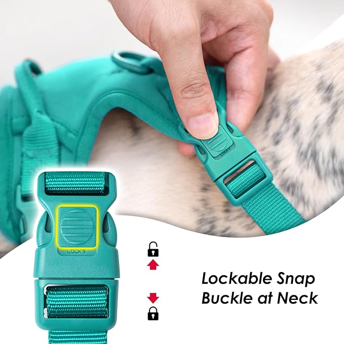 No Pull Dog Harness, Puppy Vest with Front Clip for Small Medium Large Sized Dog(MARRS Green,XL)-Mewly Pet