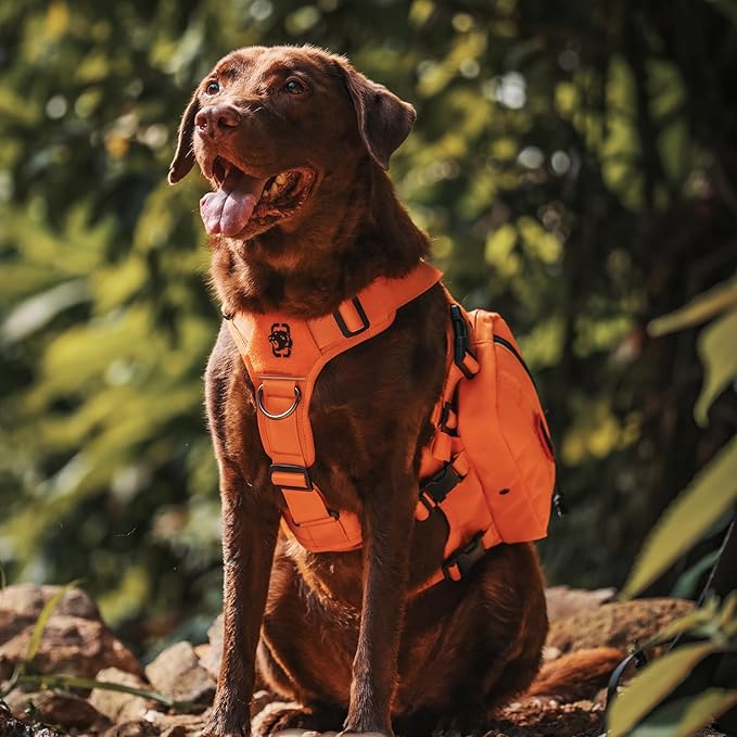 Onetigris Dyno Outdoor Harness for Dogs with Pockets, Front Range Pack, Saddle Bag Dog Hiking Vest with Handles-Mewly Pet