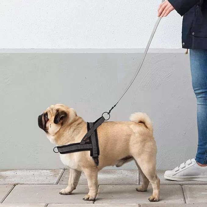 Didog No Pull Dog Harness with Breathable Mesh Padded, Full Reflective & Quick Fit Adjustable Vest Harness, Easy for Training Walking for Small & Medium and Large Dogs (Black, M:Chest 21-26")-Mewly Pet