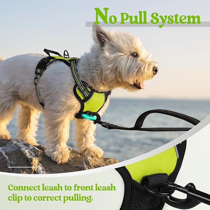 rabbitgoo Dog Harness No Pull with 2 Leash Clips, Adjustable Soft Padded, Reflective Oxford No Choke Pet Vest with Easy Control Handle for Puppy, Green, XS-Mewly Pet