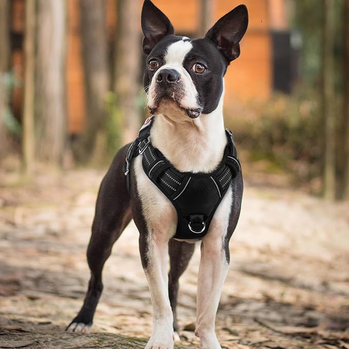 rabbitgoo Dog Harness Small Sized, No Pull Dog Vest with 3 Buckles, Adjustable Soft Padded Pet Harness with Easy Control Handle and Reflective Strips, Black, S-Mewly Pet