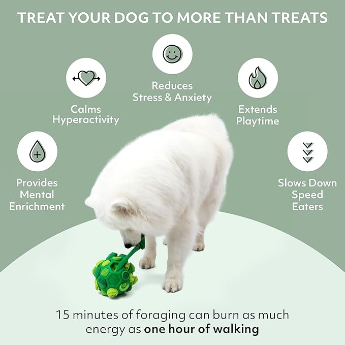 Reggie Forager Ball for Dogs | Mealtime Enrichment Toy | Reduces Boredom, Hyperactivity, Stress | Vet-Approved & Ideal for All Ages, Breeds, and Sizes (Forager Ball - Turkey & Pumpkin)-Mewly Pet