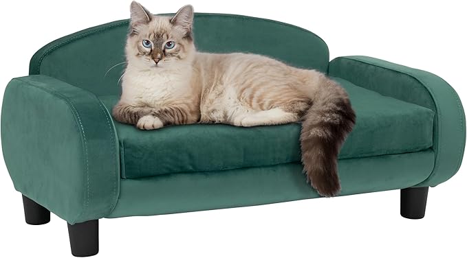 Paws & Purrs Cat Sofa Bed, Pet Couch for Indoor Cats Elevated Cat Beds with Removable Washable Mattress Cover for Kitten, Puppy or Small Animal- 31.5" Wide, Teal-Mewly Pet