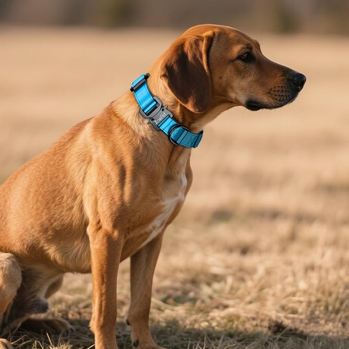 AirTag Dog Collar - Leather Dog Collar with Airtag Holder | IP68 Waterproof AirTag Holder with Metal Buckle, Comfortable GPS Dog Collars Tracker for Medium Large Dogs (Blue, XL)-Mewly Pet