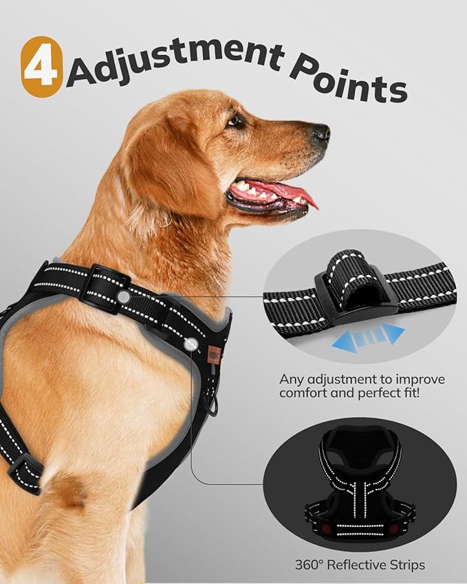 MIDOG No-Pull Dog Harness | Adjustable & Reflective Pet Harness Leash Set for Small Medium Large Dogs Walking, Training| No Choke, Front Clip, Soft Padded Vest with Easy Control Handle - Black, M-Mewly Pet