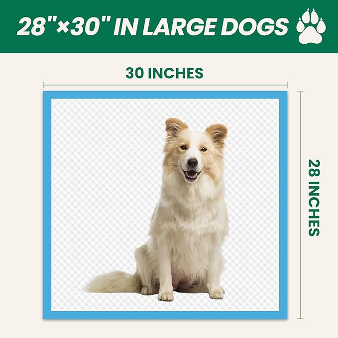 100 Count Large Dog & Cat Puppy Pee Pads - 28"x30" Absorbent Potty Training Pads | Leakproof Quick-Dry Disposable Pet Pads for Puppies, Dogs & Cats | Indoor, Outdoor, Litter Box, Housebreaking Use-Mewly Pet