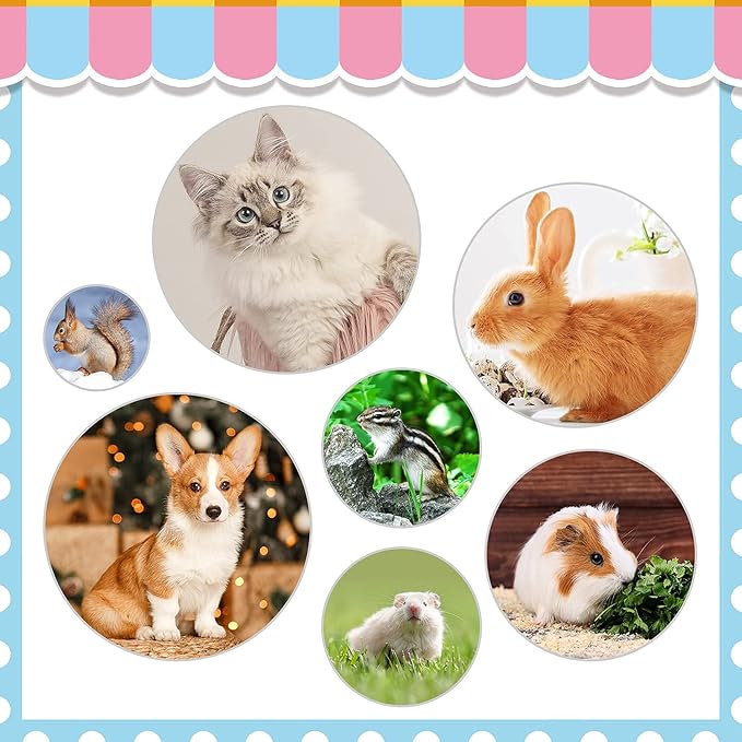 Rabbit Grooming Kit, Rabbit Brush for Shedding with Bunny Nail Clipper, Rabbit Nail Trimmers with Pet Combs for Hamster Guinea Pig Ferret by KALAMANDA(6 Pack)-Mewly Pet