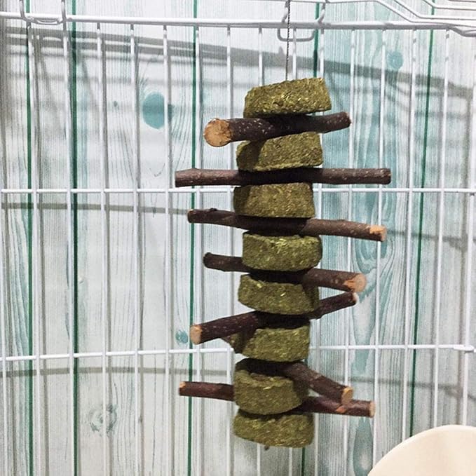 Bunny Chew Toys for Teeth, 2 PCS Organic Apple Wood Molar Sticks with Timothy Hay Circles for Bunny Chinchilla Guinea Pig Hamsters Holland Lop Prairie Dogs Squirrels, Improves Dental Health-Mewly Pet