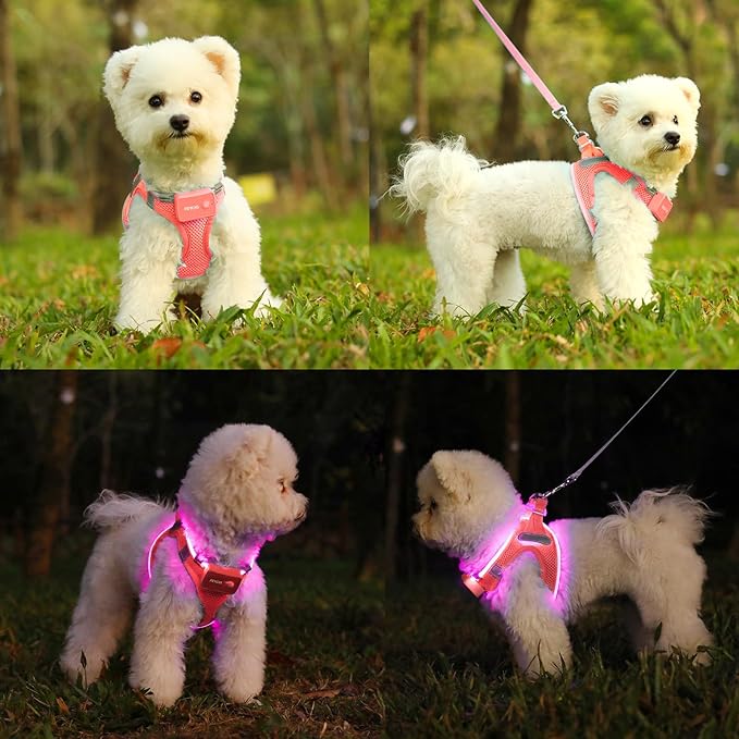 Light Up Dog Harness,Rechargeable LED Dog Harness for Small Medium Large Dogs,Reflective Lighted Safety Vest for Night Walking & Camping,Lightweight & Adjustable,Fluorescent Pink,M-Mewly Pet