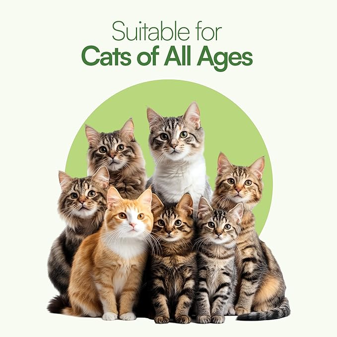 3 Pcs Catnip Balls with Feathers – Natural Catnip Toy for Play, Stress Relief & Healthy Enrichment Interactive Cat Toys Perfect for Indoor Cats & Kittens, Encourages Active Play & Wellness-Mewly Pet